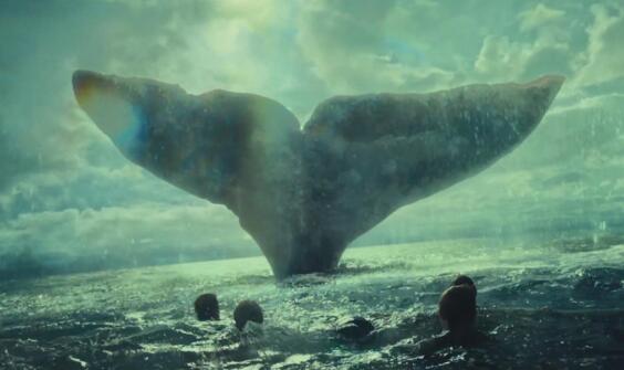 远古巨兽梅尔维尔鲸，大白鲨仅仅是它小菜一碟