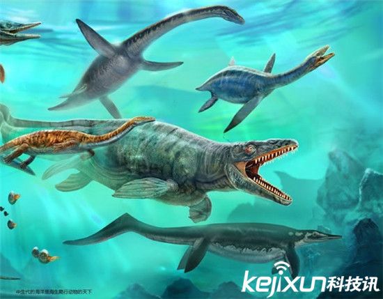 鲨鱼能够称霸海洋 要感谢6000万年前的恐龙灭绝？