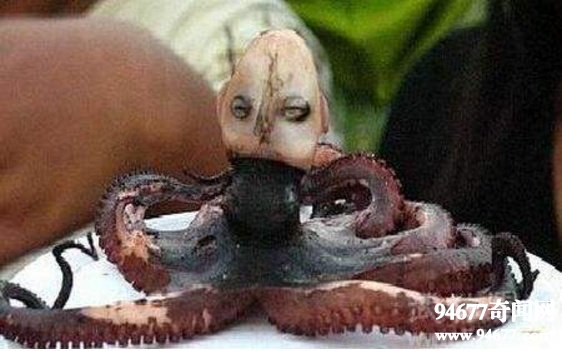 世界十大罕见生物，印尼章鱼人(人头章鱼身)