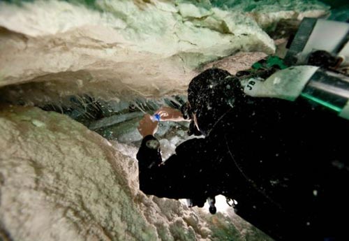 澳洲神秘洞穴发现隔绝阳光“外星微生物”