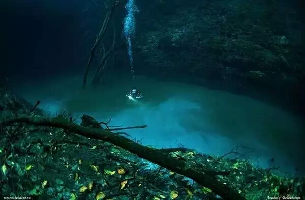藏在水底的“水中河”你见过吗？神奇的自然景象让人无法想象