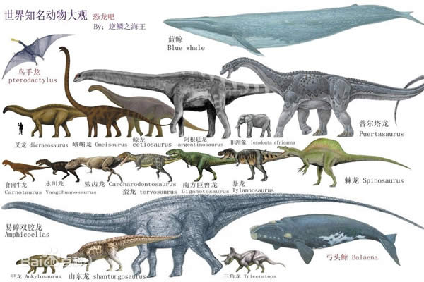 世界上最大的动物长80米，盘点20个巨型恐怖动物(www.gifqq.com)