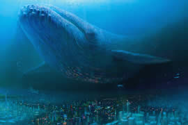 世界上最大的鲸鱼，蓝鲸(舌头上能站50人)