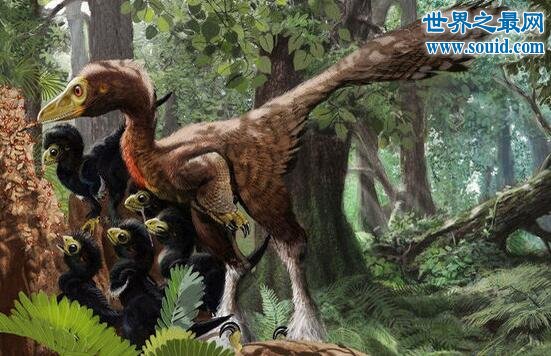 世界十大恐龙之最，最凶猛的恐龙是霸王龙(www.gifqq.com)