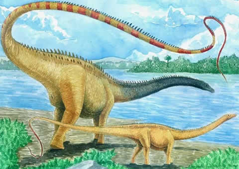 世界上最大的恐龙，易碎双腔龙(长80米/重220吨)