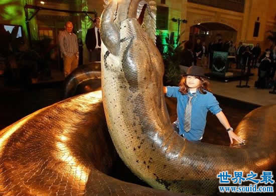 史上最大的蛇，长达15米的泰坦蟒(天下无敌被灭种)(www.gifqq.com)