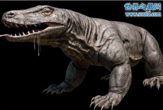 世界上最大的蜥蜴，古巨蜥(长7米/重1240斤)(www.gifqq.com)