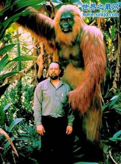 史上最大的猿，三米高巨猿(和人类同一祖先)(www.gifqq.com)