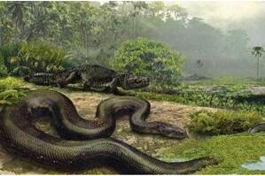 世界上最大的蛇，塞雷洪泰坦巨蟒(长15米重达3吨)