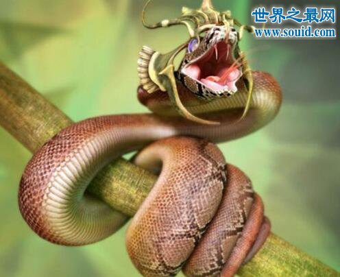 最长寿的蛇绿茸线蛇，已活1867岁(能活20万年)(www.gifqq.com)