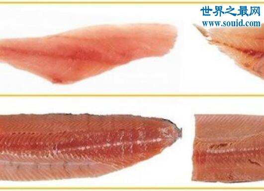 十大阿拉斯加深海鱼类，裸盖鱼(虽丑但肉质鲜美)(www.gifqq.com)