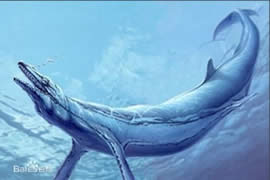史上最凶残的史前巨兽，龙王鲸vs巨齿鲨(谁更强)