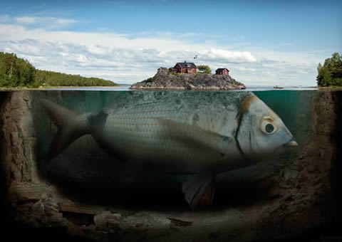 世界上最大的淡水鱼，1吨多重的巨型黄貂鱼(组图)