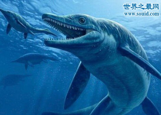 世界上最大的硬骨鱼类，身长27米的利兹鱼(鲸鲨都是它小弟)(www.gifqq.com)