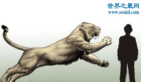 史上最大的猫科动物，残暴狮(长3.5米/重380千克)(www.gifqq.com)