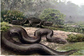 史上最大的蛇，长达15米的泰坦蟒(天下无敌被灭种)