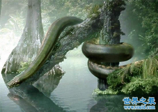 世界上最大的蛇，塞雷洪泰坦巨蟒(长15米重达3吨)(www.gifqq.com)