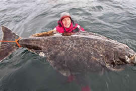世界上最大的比目鱼，重达468斤(用鱼竿钓起)