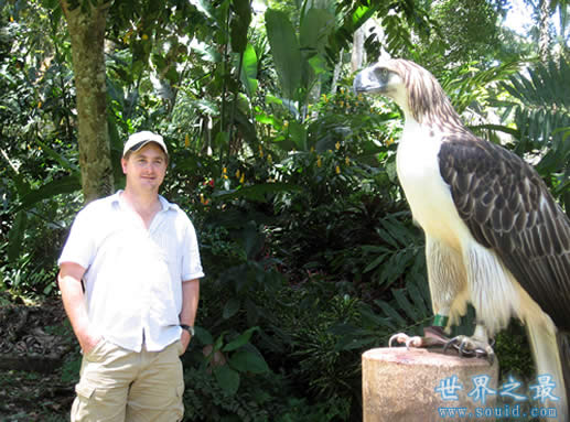 世界上最大的鹰，菲律宾食猿雕(翼展8米/重70公斤)(www.gifqq.com)
