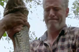 BBC和土著抓住了世界最长蟒蛇，是一种食人大蟒蛇