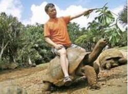 加拉帕戈斯象龟，世界上最大的乌龟(700公斤)