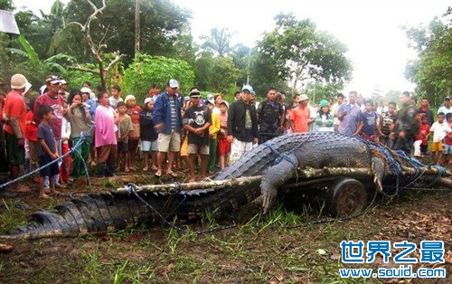 世界上最长的鳄鱼(www.gifqq.com)