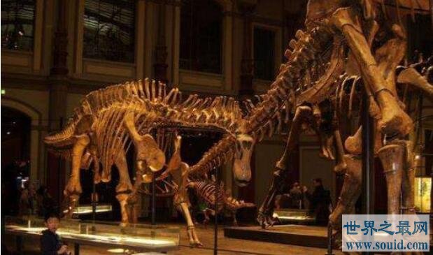 你知道恐龙界中脖子最长的是什么龙吗？(www.gifqq.com)