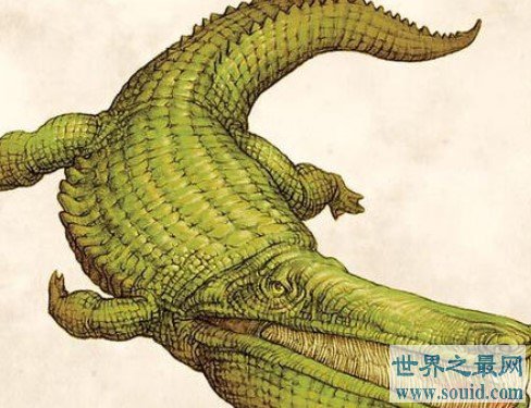 地球最大的鳄鱼，最长13米—屋子都装不下(www.gifqq.com)