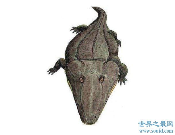 史前最大的青蛙，长达5米,竟以恐龙为食(www.gifqq.com)