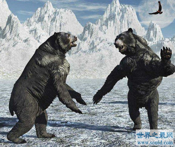 地球上体型最大的熊，站立时可以高达近5米(www.gifqq.com)