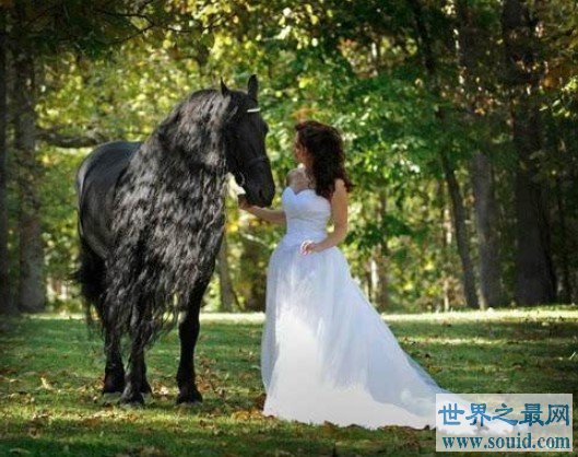 世界上最帅的马，腓特烈二世一头飘逸秀发