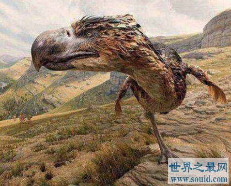 史上最大的鸟类，身高3米，重达400公斤(www.gifqq.com)