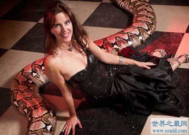 世界上最长的蛇，美杜莎的长度长达7.67米(www.gifqq.com)