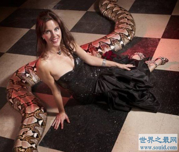 世界上最长的蛇，美杜莎的长度长达7.67米