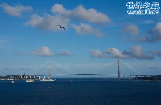 世界上最大的斜拉桥，俄罗斯岛大桥(主跨长1104米)(www.gifqq.com)