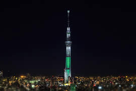 世界上最高的塔，日本东京塔(634米)