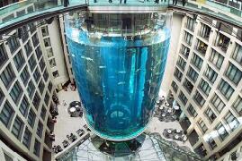世界上最奇特的电梯，建在巨型鱼缸中的电梯