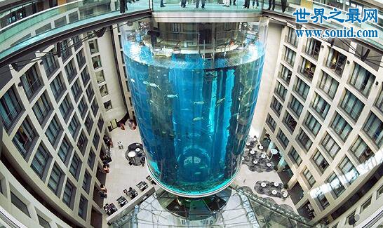 世界上最奇特的电梯，建在巨型鱼缸中的电梯(www.gifqq.com)