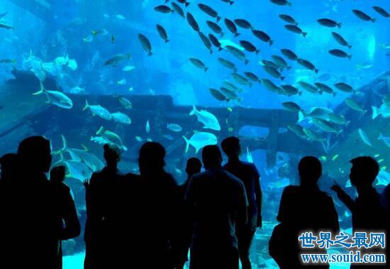世界最大室内海洋展馆，永泰海洋极地世界(耗资10亿)(www.gifqq.com)