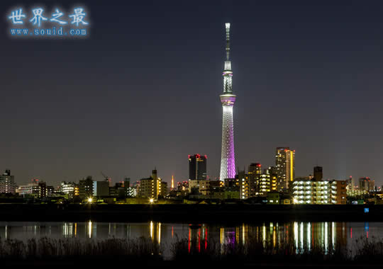 世界上最高的塔，日本东京塔(634米)(www.gifqq.com)