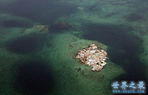 揭秘世界上最拥挤的岛，只因为没有蚊子咬(www.gifqq.com)