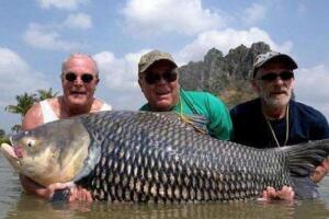 世界上最大的鲤鱼，重达200斤打破世界记录