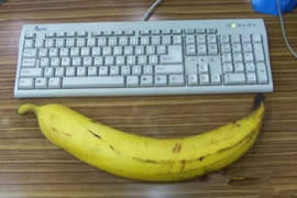 世界上最大的香蕉，重达4斤(4个人才能吃完)