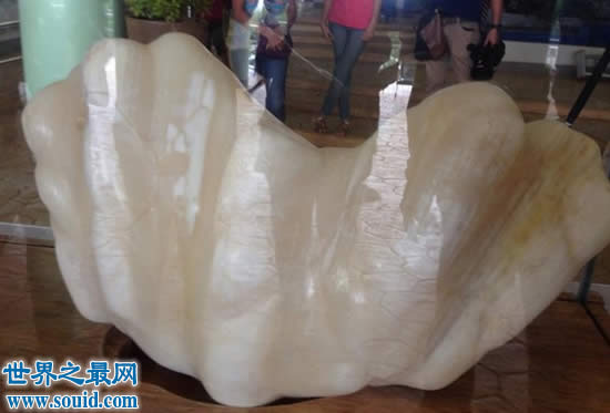 世界上最大的珍珠，重78斤被雪藏10年(价值1亿美金)(www.gifqq.com)