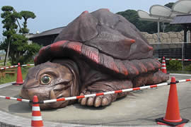 世界上最大的乌龟，加拉帕戈斯象龟(长6米/重700斤)