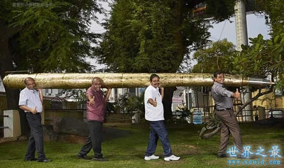 世界上最大的圆珠笔，长度达5.5米(www.gifqq.com)