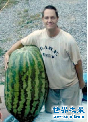 世界上最大的西瓜，重达300斤(比人还高)(www.gifqq.com)