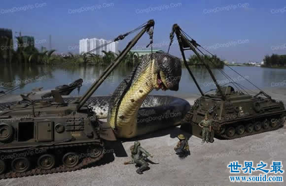 发现世界上最大的蛇，长19米一口吃掉成人(多图)(www.gifqq.com)