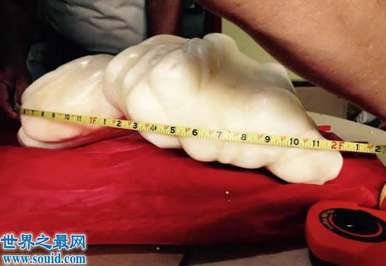世界上最大的珍珠，重78斤被雪藏10年(价值1亿美金)(www.gifqq.com)