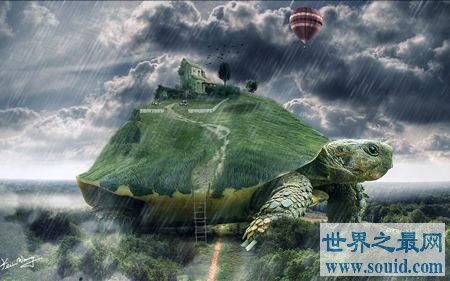 世界史上最大乌龟 无人敢招惹这种庞然大物(www.gifqq.com)